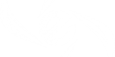 cropped-letra_e_folhas.png